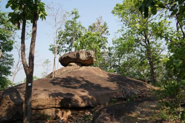 gündüz ormanda kayalık uçurum