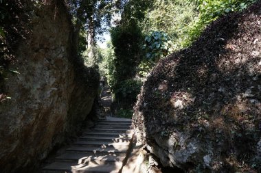 taş merdivenle gündüz tropikal Park