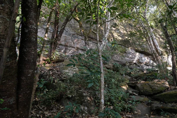 Blick Auf Felsen Wald Bei Tag — Stockfoto