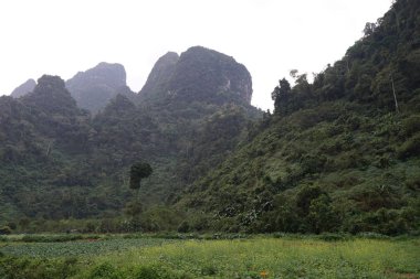 bulutlu gökyüzü arka planda dağların görünümü 