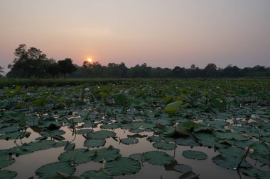 nehir üzerinde renkli günbatımı görünümü 