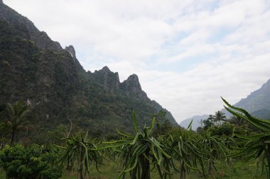bulutlu gökyüzü arka planda dağların görünümü 