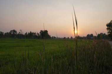 bulutlar, kopya alanı ile renkli günbatımı görünümü