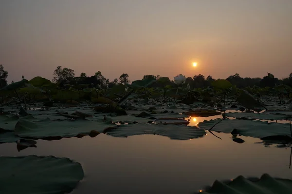 Blick Auf Den Bunten Sonnenuntergang Über Dem Fluss — Stockfoto