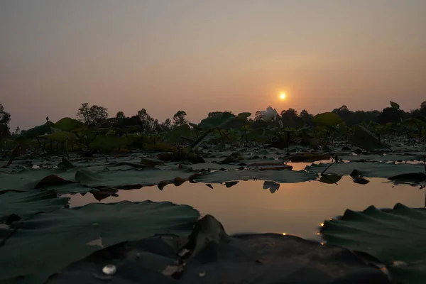 Blick Auf Den Bunten Sonnenuntergang Über Dem Fluss — Stockfoto