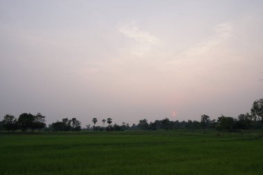 gün batımı sırasında tarım alanının görünümü