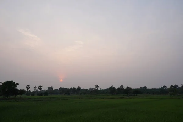 Vista Campo Agrícola Durante Pôr Sol — Fotografia de Stock