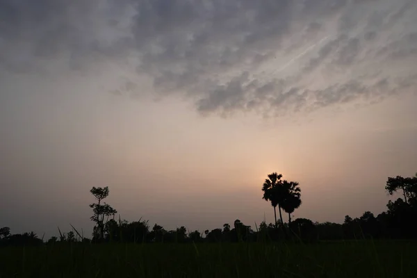 Vue Champ Agricole Coucher Soleil — Photo