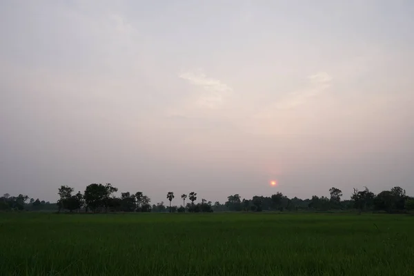 Blick Auf Das Landwirtschaftliche Feld Bei Sonnenuntergang — Stockfoto