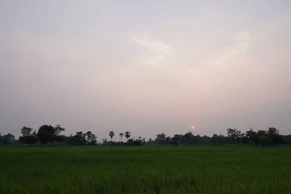 Vue Champ Agricole Coucher Soleil — Photo