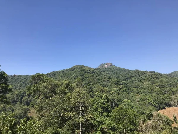 Vue Aérienne Des Collines Avec Des Arbres Verts Jour Lumineux — Photo