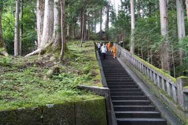 gündüz ormanda shinto türbe topraklarının görünümü
