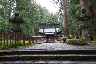 gündüz ormanda shinto türbe görünümü