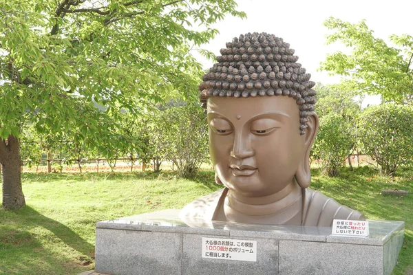 Estatua Buda Fuera Del Templo Antiguo —  Fotos de Stock