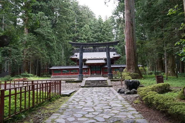 Gündüz Ormanda Shinto Türbe Görünümü — Stok fotoğraf