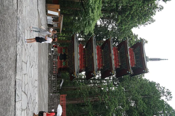 View Shinto Shrine Forest Daytime — Stock Photo, Image