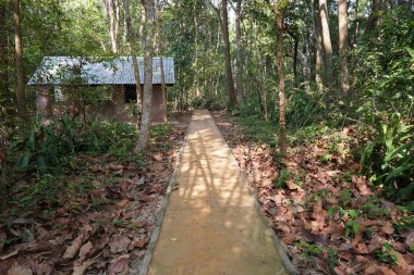 gündüz yeşil ağaçlar ile doğa manzara