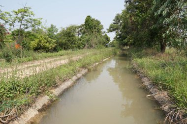 bulutlu gökyüzü ve yeşil ağaçlar, doğa yatay 