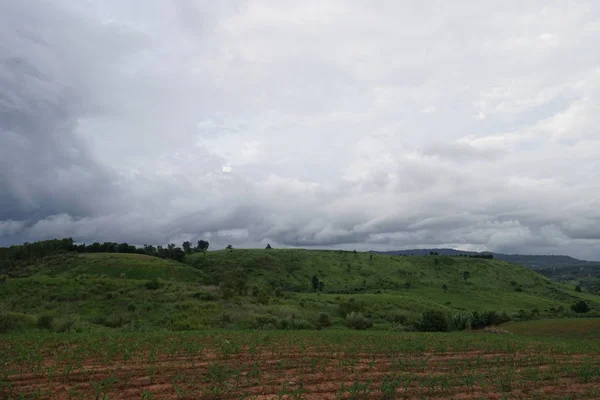 Vista Campo Agrícola Durante Dia — Fotografia de Stock