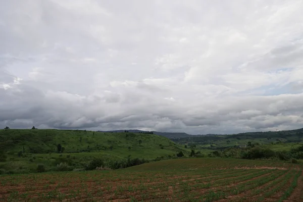 Vista Campo Agrícola Durante Dia — Fotografia de Stock