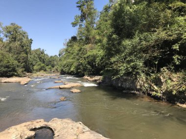 gündüz nehir ile doğal manzara