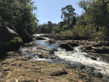 gündüz nehir ile doğal manzara