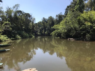 gündüz nehir ile doğal manzara