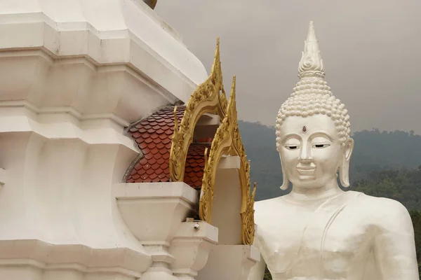 Widok Posągu Buddy Koncepcja Religijna — Zdjęcie stockowe
