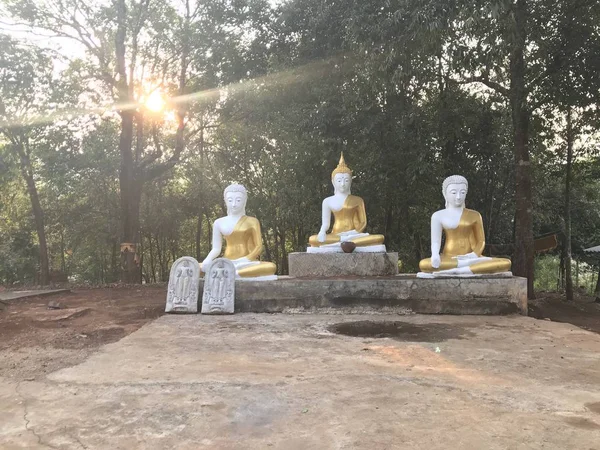Vista Estátuas Buda Conceito Religioso — Fotografia de Stock