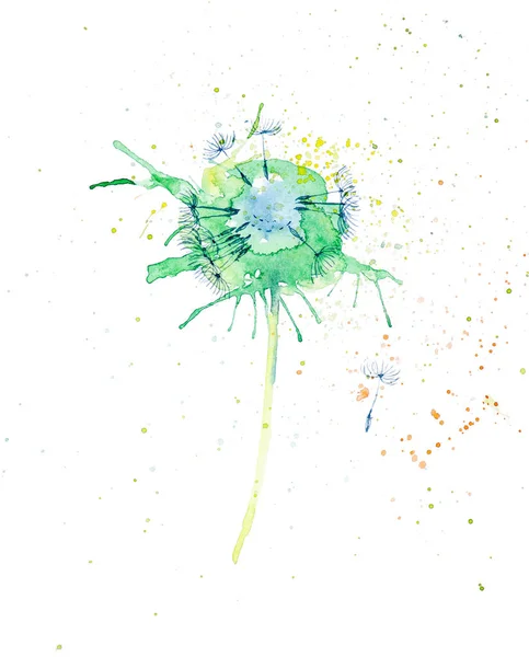 Abstract watercolor illustration of bright multicolor dandelions