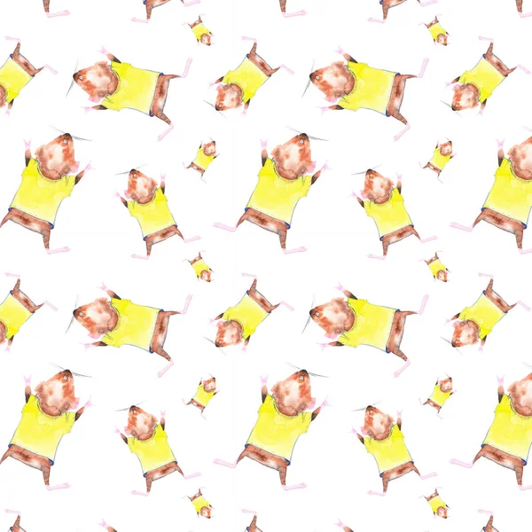 Comic watercolor illustration of flying Guinea pig in a yellow t-shirt. Isolated on white background.Seamless pattern