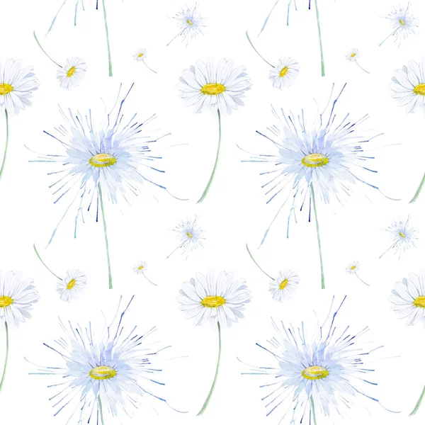 Abstraktní akvarel, ilustrace chamomillů. Izolován na bílém pozadí. Bezproblémový vzor — Stock fotografie
