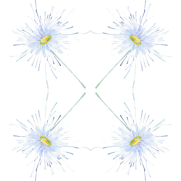 Abstrakt akvarell illustration av Chamomiles. Isolerad på vit bakgrund. Sömlöst mönster — Stockfoto