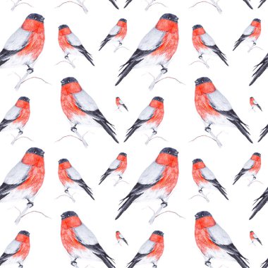 Beyaz arka planda izole bir dal üzerinde oturan bir Bullfinch kuş suluboya Illustration. Dikişsiz desen