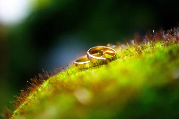 Gouden Trouwringen Het Groene Mos — Stockfoto