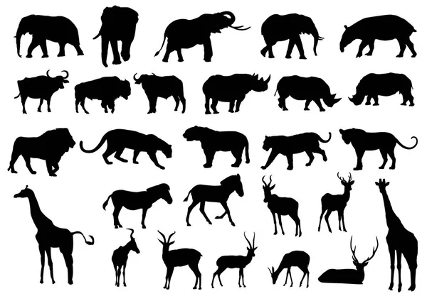 Wild animals black silhouettes — Stock Photo, Image