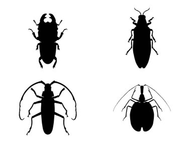 Beyaz üzerine izole böcek silouettes kümesi.