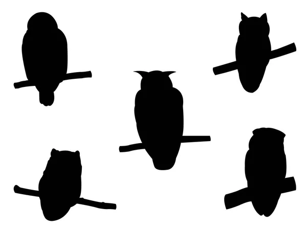 Sammlung von Eulenvogel auf Astsilhouetten. — Stockvektor