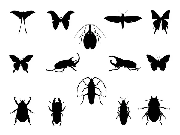 Conjunto de silouettes de insetos isolados em branco . — Vetor de Stock