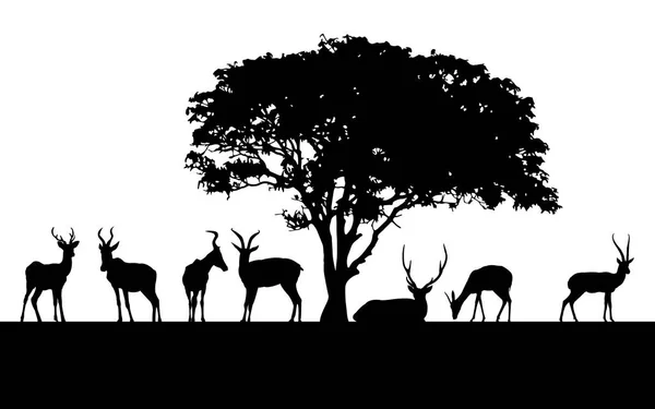 Wild animals black silhouettes — Stock Vector