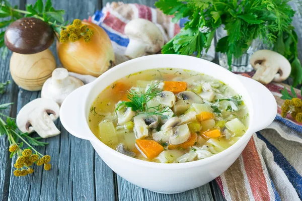 Suppe mit Champignons und Gemüse in Hühnerbrühe gekocht. Holz — Stockfoto