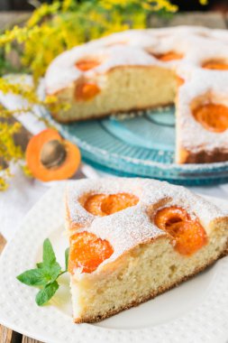 Pudra şekerle süslenmiş kayısılı bir parça turta.