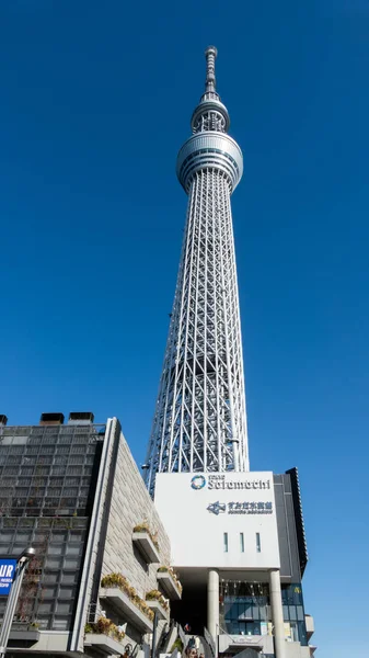 日本东京 2019年2月1日 东京天树 东京住田的广播 餐厅和观景台 也是日本最高的建筑 — 图库照片