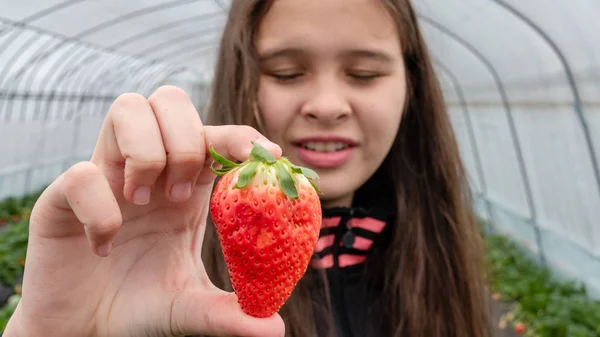 Asian American tween girl holding strawberry