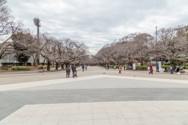 Ueno Onshi Parkı'nda kimliği belirsiz kişiler yürüyor
