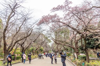 Ueno Onshi Parkı'nda kimliği belirsiz kişiler yürüyor