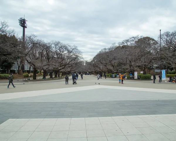 Pessoas não identificadas andando pelo Parque Ueno Onshi — Fotografia de Stock