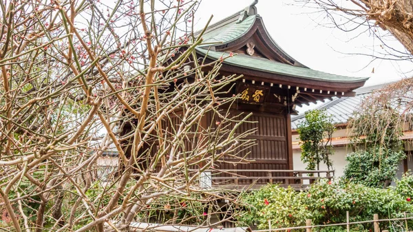 Santuario Hanazono Inari en el Parque Ueno . —  Fotos de Stock