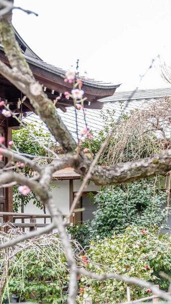 Tokyo Japan February 2019 Gojoten Shrine Hanazono Inari Shrine Ueno — Stock Photo, Image