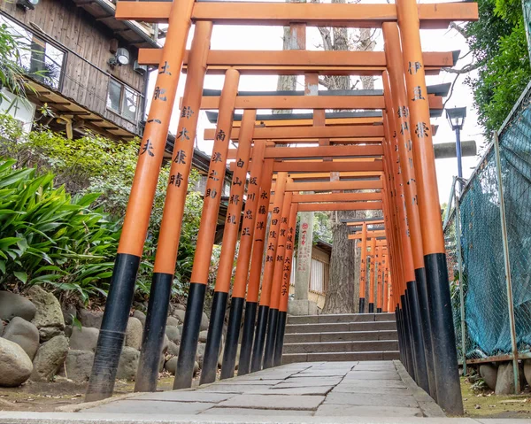 Tokio Japón Febrero 2019 Túnel Torii Que Conduce Santuario Hanazono —  Fotos de Stock